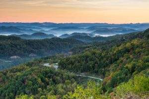 Road Winding Through Forest with Mountains